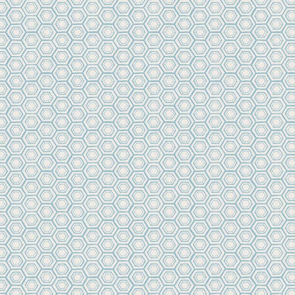 GARDEN SEEDS - Hexies -Blue - SALE