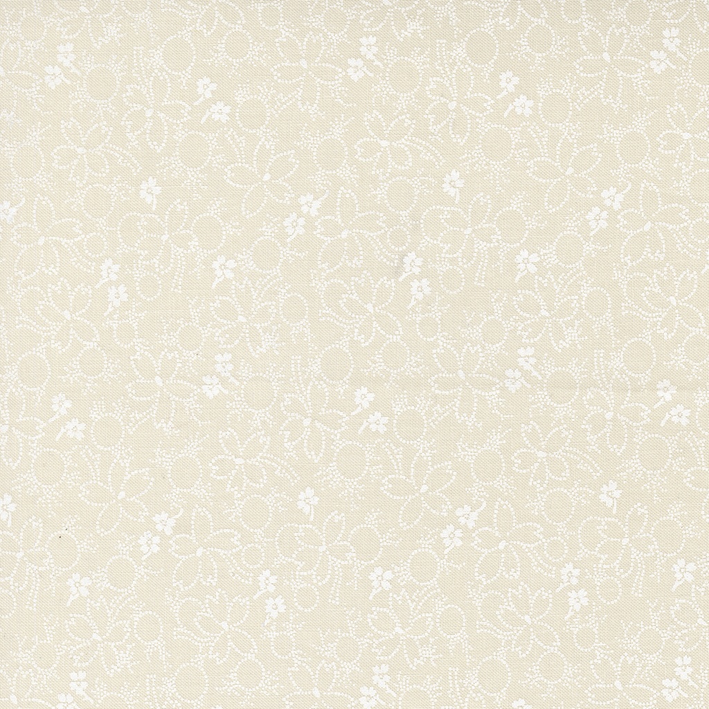 ARABESQUE - Wonder - ANGEL WHITE