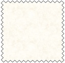 Canvas - ANTIQUE WHITE