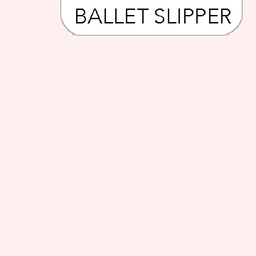 Colorworks - BALLET SLIPPER