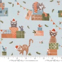 Purrfect Christmas - Cats Novelty - FROST