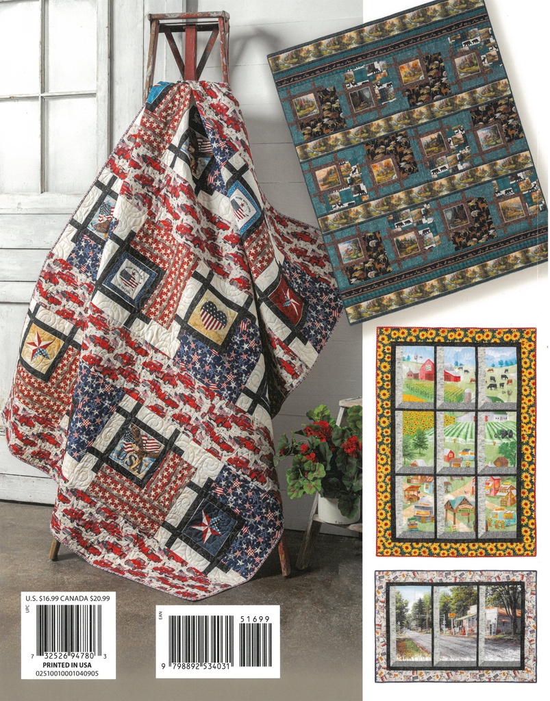 Building Quilts with Panels Book