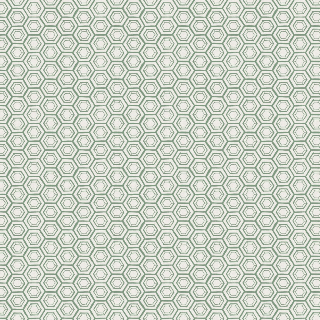 GARDEN SEEDS - Hexies -Green