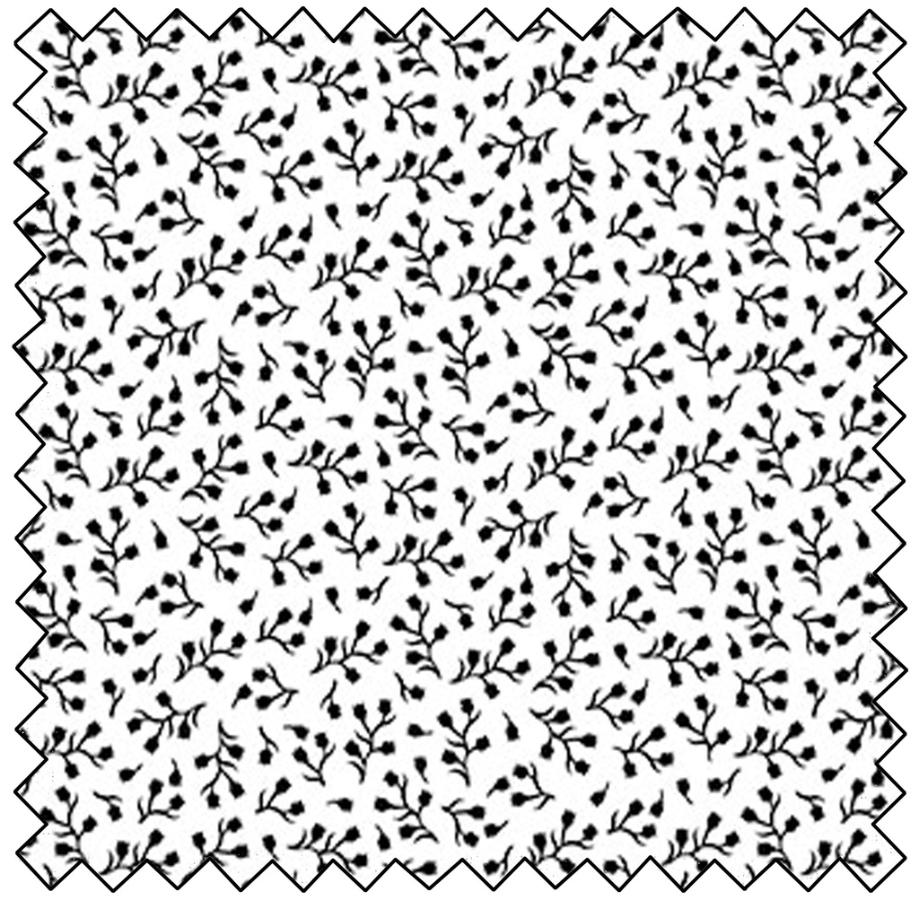 Basically Black & White - Baby's Breathe - POSITIVE