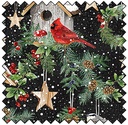 Winter Song - Birdhouse Feathers - BLACK/MULTI