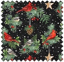 Winter Song - Birds - BLACK/MULTI