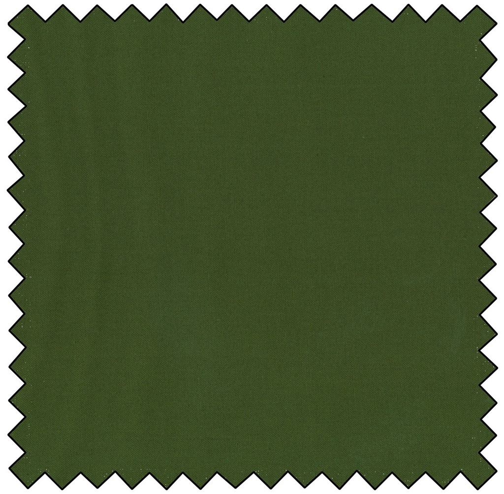 Colorworks - GREEN PEPPER