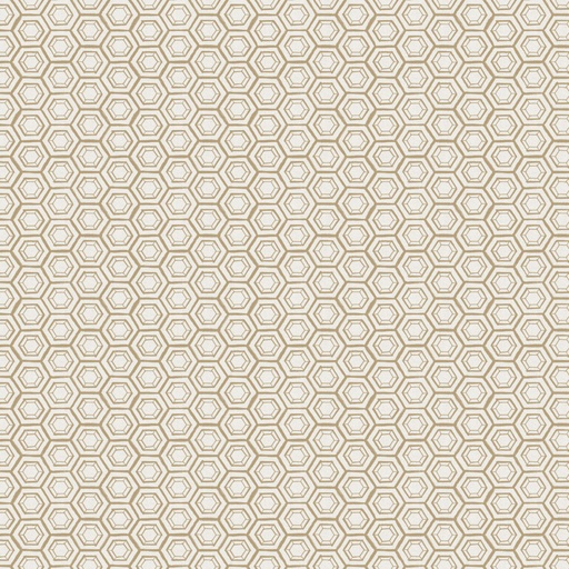 [CF66230107-03] GARDEN SEEDS - Hexies - Tan