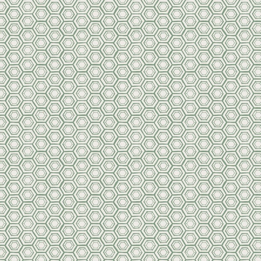 [CF66230107-02] GARDEN SEEDS - Hexies -Green