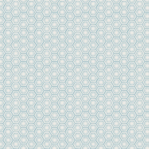 [CF66230107-01] GARDEN SEEDS - Hexies -Blue