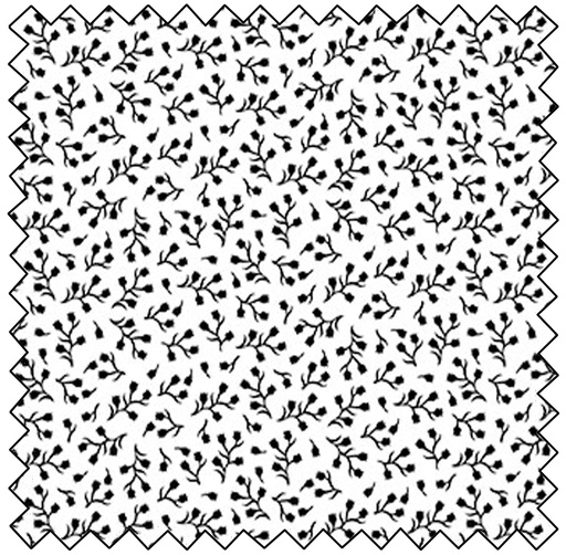 Basically Black & White - Baby's Breathe - POSITIVE