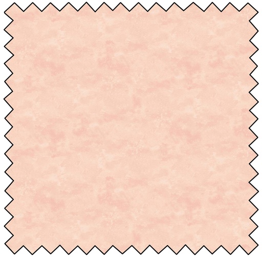 [N9020-210] Toscana - BALLET SLIPPER