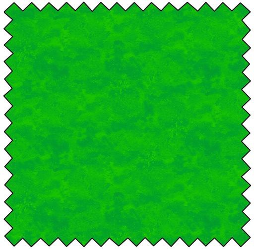 [N9020-734] Toscana - ASTRO TURF/disc