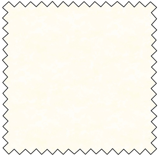 [N9020-111] Toscana - CHAMPAGNE