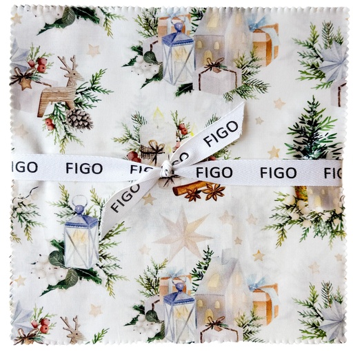 [FFNOW4210] Snowbound 10" Square Package