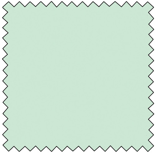 [N9000-752] Colorworks - FROSTED MINT